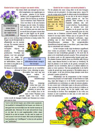 Februari 2026 : Geniet in het voorjaar...